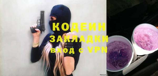 хмурый Алексин