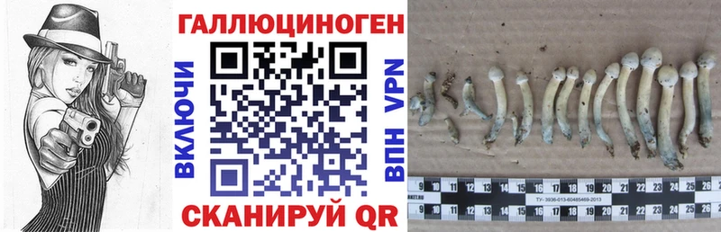 Галлюциногенные грибы Psilocybe  OMG маркетплейс  Яровое 
